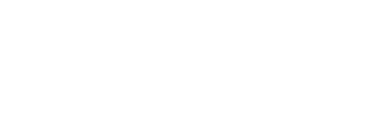 BRDG Performance